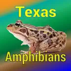 Texas Amphibians iOS Icon