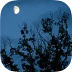 Relax Night Sounds - White Noise iOS Icon