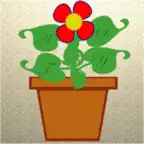 FLWR NOW iOS Icon