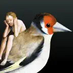 Hieronymus Bosch iOS Icon