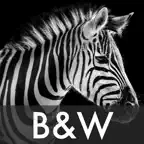 Black & White Photo Effects iOS Icon