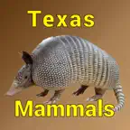 Texas Mammals iOS Icon