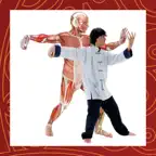 ANATOMY & TAI CHI AR iOS Icon
