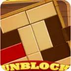 Unblock Sliding Block Puzzle Game iOS Icon
