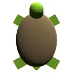 Turtle Robot Icon