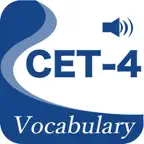 CET4精选词汇 iOS Icon