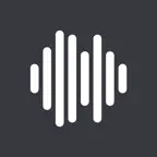 Radio FM - Best radio stations iOS Icon