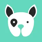 Scout for Dog Walkers iOS Icon