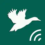 Охотничий манок на утку iOS Icon
