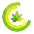 IndicaOnline Dashboard iOS Icon