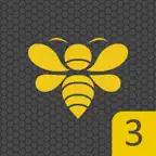 Third Grade Spelling Words iOS Icon