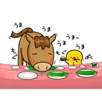 Chick JP Sticker - Events iOS Icon