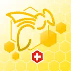 Bee Audit Icon