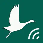 Охотничий манок на гуся iOS Icon