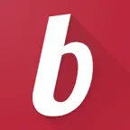 basarlino Icon