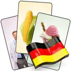 Germany Flashcard for Learning Icon