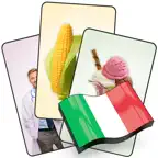 Italy Flashcard for Learning Icon