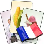 French Flashcard for Learning Icon