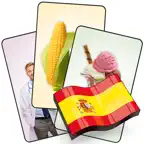 Spanish Flashcard for Learning Icon