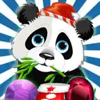 Cute Panda Jungle Match Puzzle Game For Christmas iOS Icon