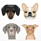 PetMojis' by The Dog Agency iOS Icon
