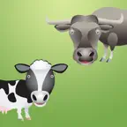 Cows & Bulls. iOS Icon