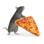 Pizza Rats iOS Icon