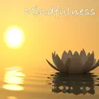 Mindfulness Frases y Audios iOS Icon
