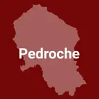 Pedroche Icon