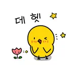 병아리 한국어 스티커 Season 2 iOS Icon