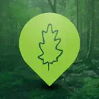 Puszcza Białowieska iOS Icon