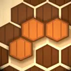 Wooden Hexa Puzzle iOS Icon