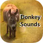 Donkey Sounds - Funny Sounds iOS Icon