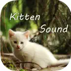 Kitten Sounds – Cat Meow Sound iOS Icon