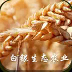 白银生态农业 iOS Icon