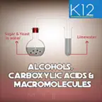 Alcohols & Carboxylic Acids iOS Icon