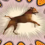 3D Dog Stunts Simulator iOS Icon