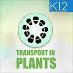 Transport in Plants Biology iOS Icon