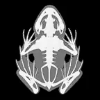 3D Frog Anatomy iOS Icon