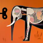 Mammals by Tinybop iOS Icon