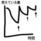 Ebbinghaus iOS Icon