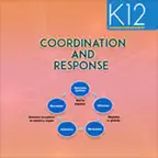 Coordination and Response iOS Icon