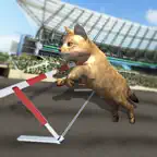 Cat Racing Free Game iOS Icon