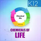 Chemical Basis of Life iOS Icon