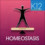 Homeostasis Biology iOS Icon