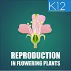 Reproduction-Flowering Plants iOS Icon
