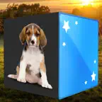 חיות משחק זיכרון iOS Icon