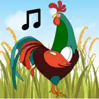Farm Sounds - Memory game for kids iOS Icon
