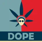 Dope wallpapers & Theme iOS Icon