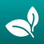 Arter iOS Icon